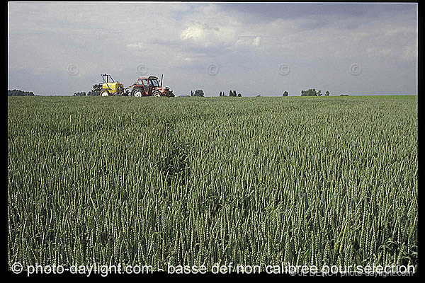 agriculture